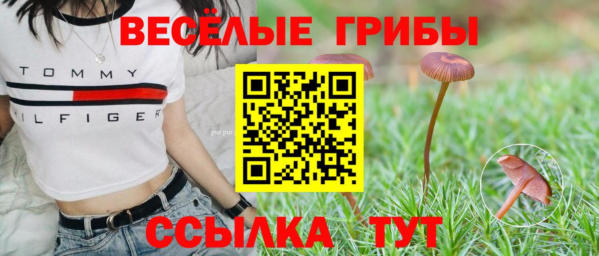 Отрадное  Галлюциногенные грибы ЛСД  Вход с VPN  Псилоцибиновые грибы Cubensis 