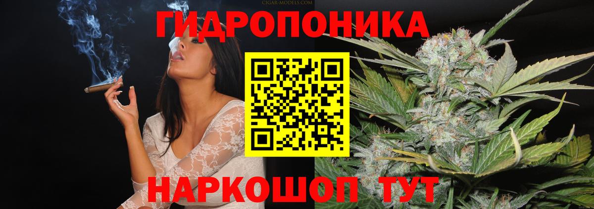 Отрадное  Бошки марихуана семена  Вход с VPN  Марихуана конопля  Каннабис индика 